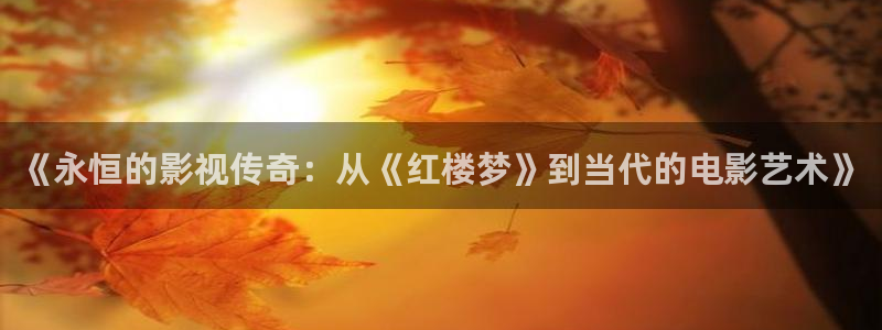 草民欧美电影网：《永恒的影视传奇：从《红楼梦》到当代的电影艺术》