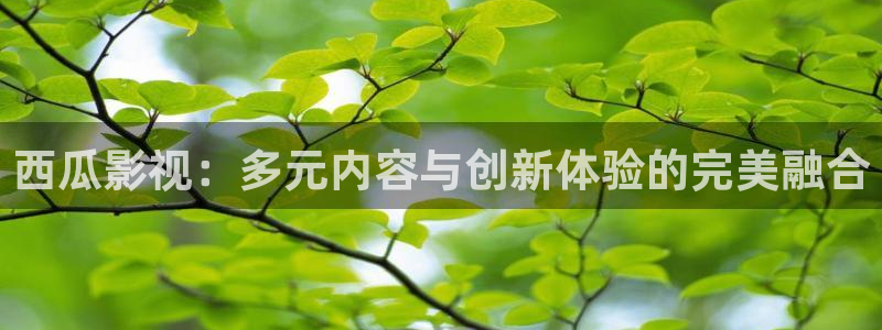 草民网电视剧免费播放在线观看：西瓜影视：多元内容与创新体验的完美融合