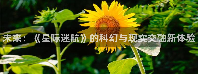神马影院草民：未来：《星际迷航》的科幻与现实交融新体验