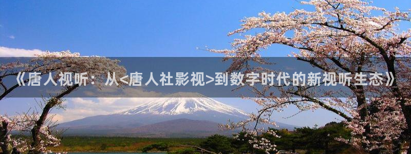 ppypp草民电影院：《唐人视听：从<唐人社影视>到数字时代的新视听生态》