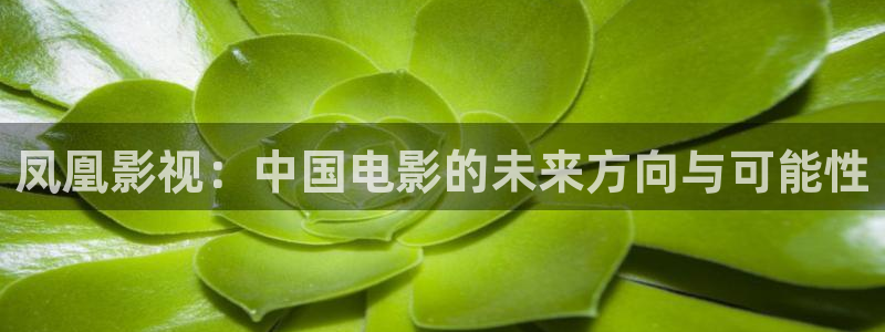 草民网电影电视剧在线观看全集：凤凰影视：中国电影的未来方向与可能性