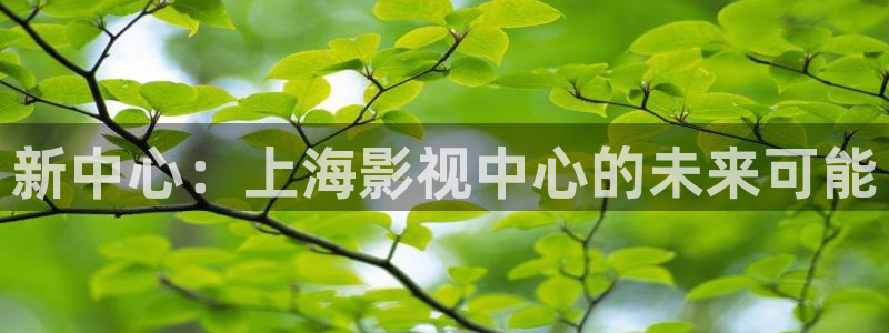 草民午夜影视：新中心：上海影视中心的未来可能