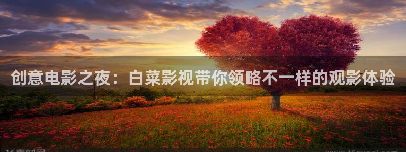 草民电影网看电影：创意电影之夜：白菜影视带你领略不一样的观影体验