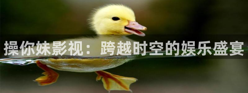 草民网理论片：操你妹影视：跨越时空的娱乐盛宴
